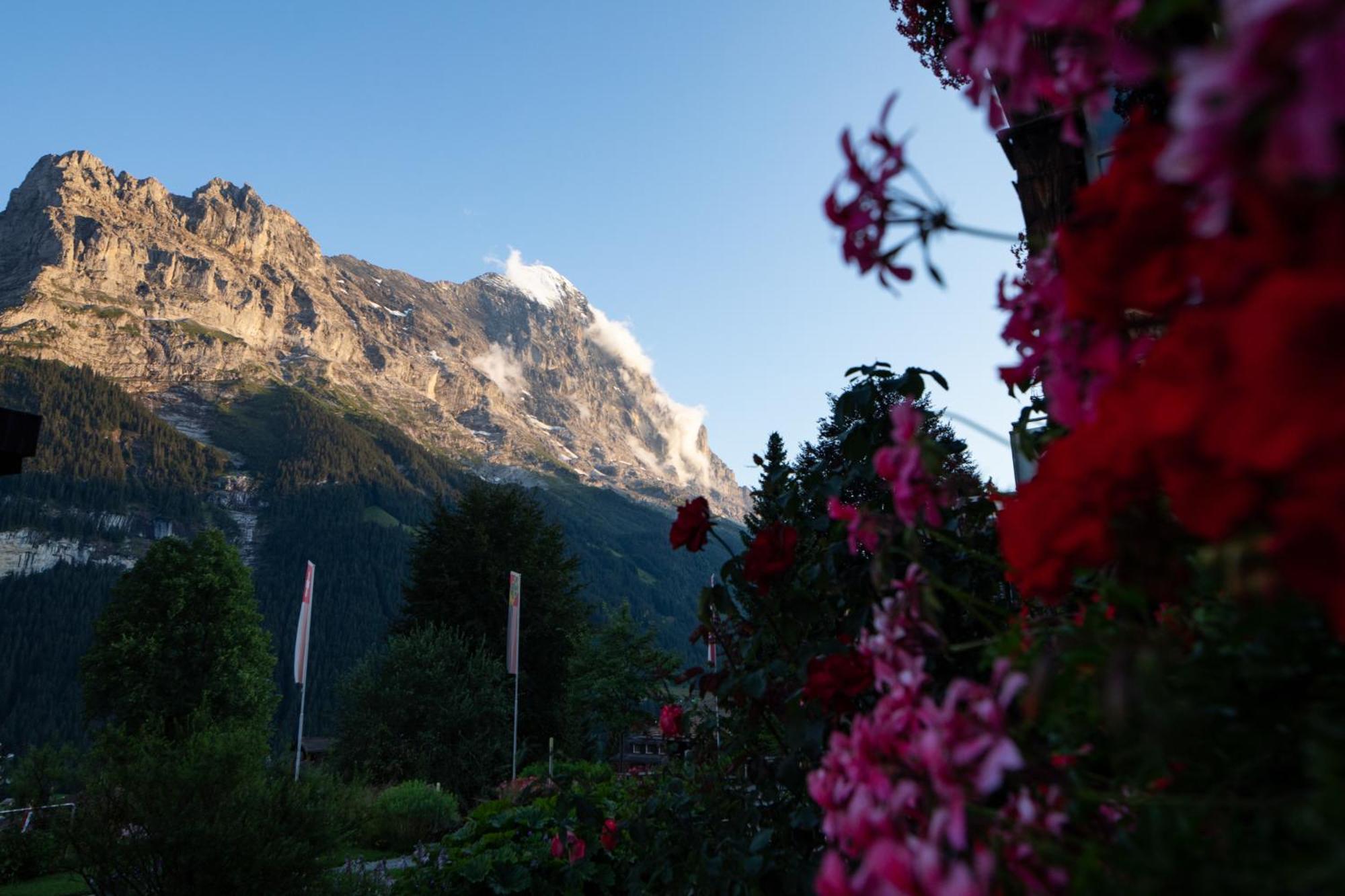 Parkhotel Schoenegg Grindelwald Kültér fotó