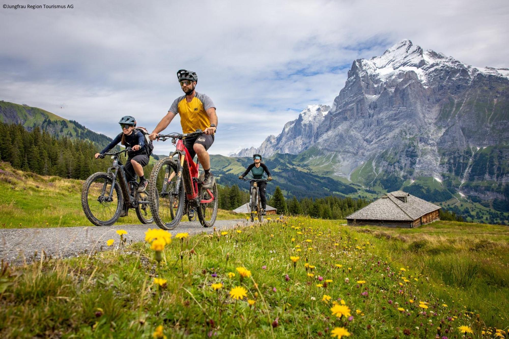 Parkhotel Schoenegg Grindelwald Kültér fotó