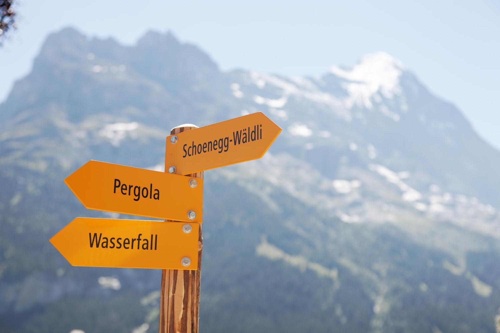 Parkhotel Schoenegg Grindelwald Kültér fotó